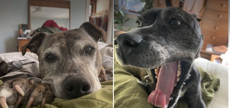 Gypsy and Banksy 