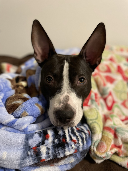 Fiona       