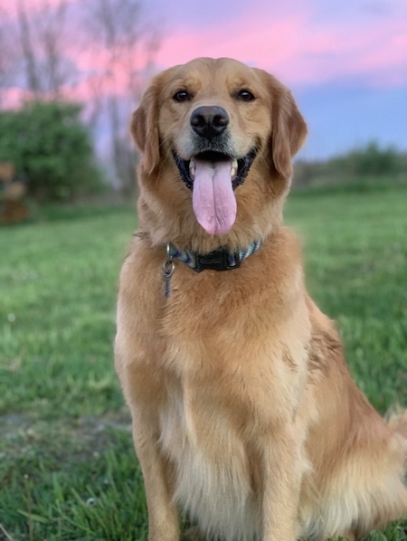 Ellie