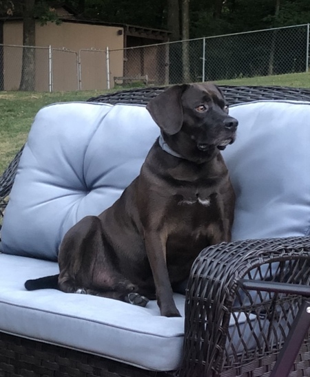 Cooper