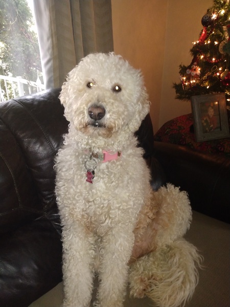 Annie