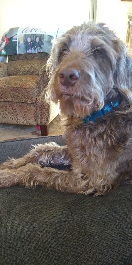 Riley