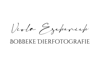 https://www.bobbekedierfotografie.nl/