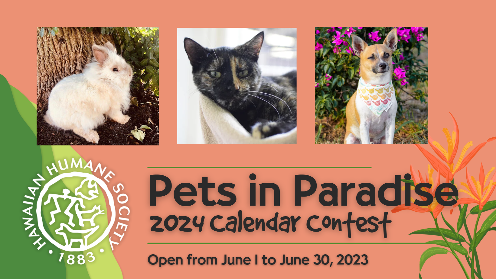 Hawaiian Humane Society 2024 Pets in Paradise Calendar Contest