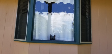 Jack