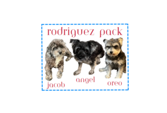 Rodriguez Pack