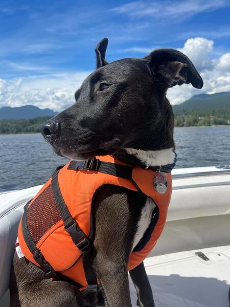 Rolo