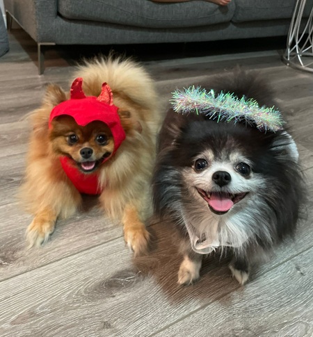 Bella  & Millie