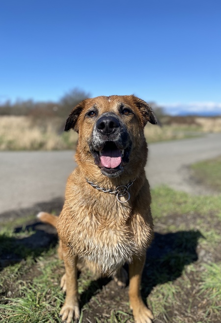 Bailey