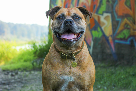 Tucker