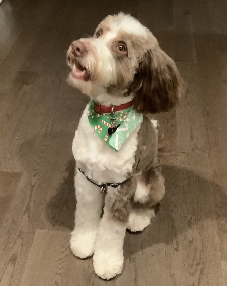 Milo