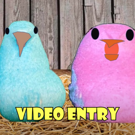 Marshmallow Peep Videos from Spring 2022