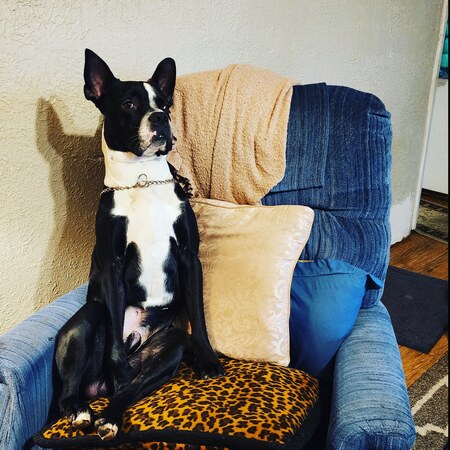 Handsome Jack