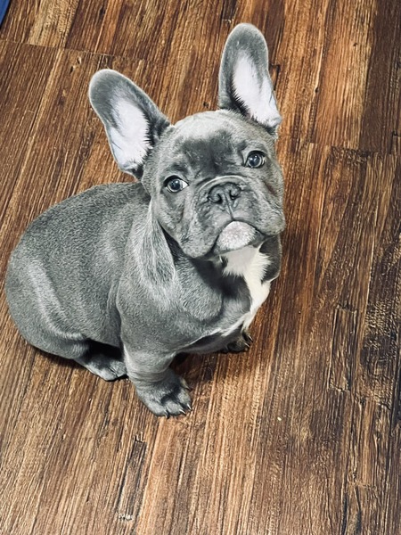 RockO