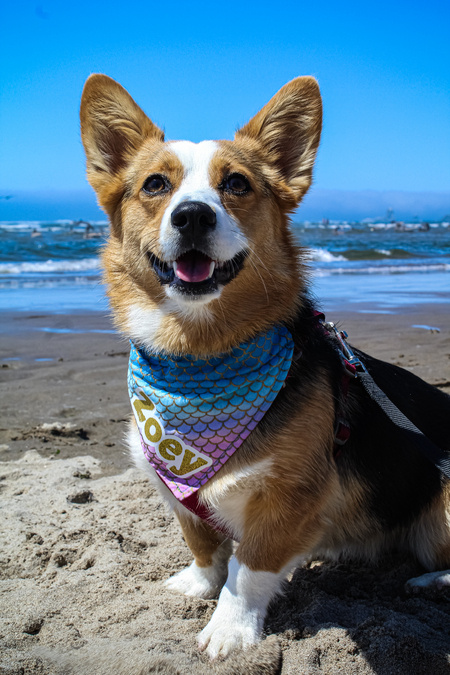 Zoey