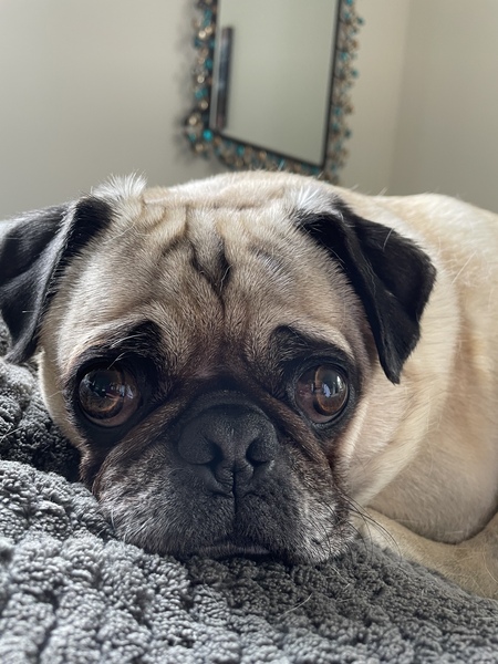 Barkley