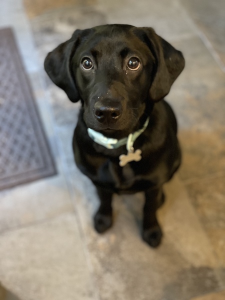 Millie