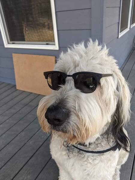 Bosun 