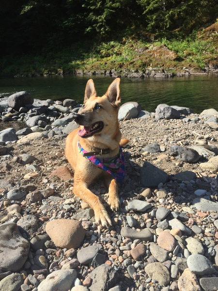 Sadie
