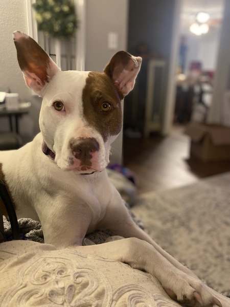 Nellie 
