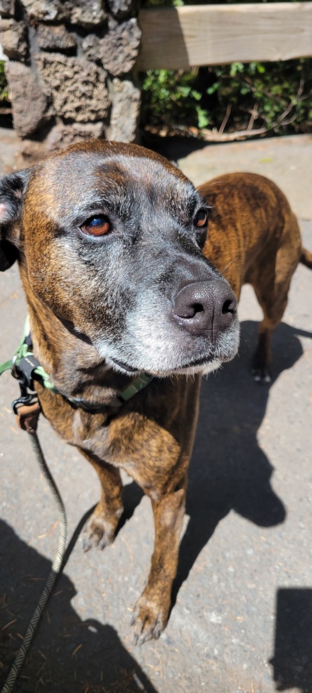 Oscar