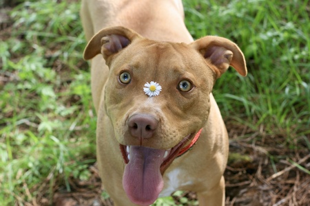 Oakley