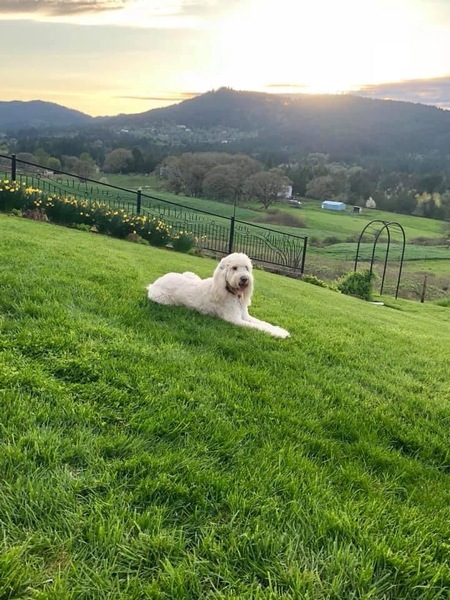 Princess Aurora (Rory)