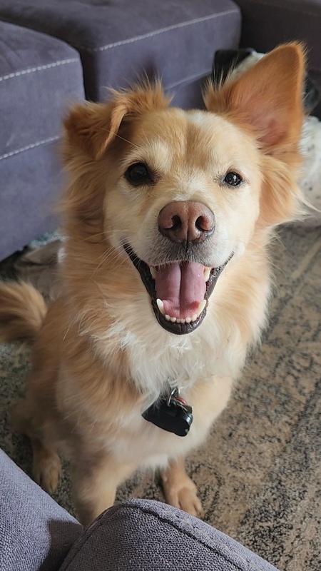 Entry image for Laszlo. Clicking this image will show a larger photo