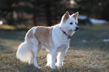 Entry image for Maya. Clicking this image will show a larger photo