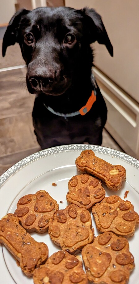Entry image for Pretzel. Clicking this image will show a larger photo