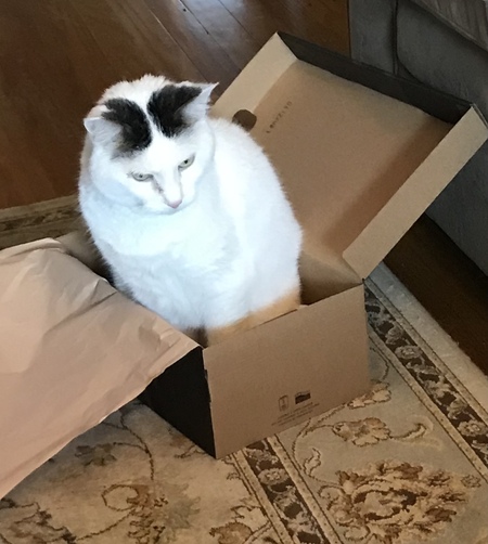 Entry image for Eliza . Clicking this image will show a larger photo