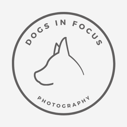 https://www.dogsinfocusphotography.com/