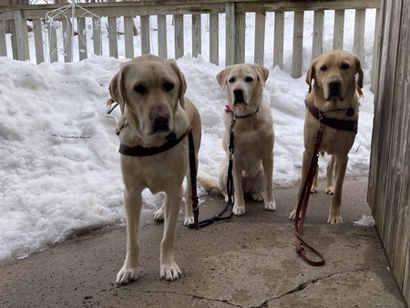 Melon (Milan), Zoe and Cruiser