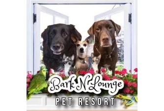 Barknlounge