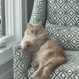 Entry image for Zeus 