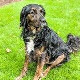 Entry image for Montana