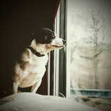 Entry image for Boba Fett