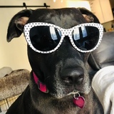 Entry image for Bella