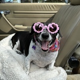 Entry image for Tilly