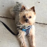 Entry image for Lando Calrissian 