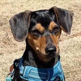 Entry image for Porter