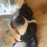 Entry image for Wilson