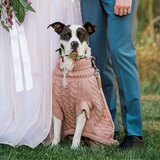 Entry image for Clover