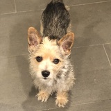 Entry image for Minnie