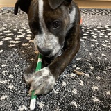 Entry image for Milly