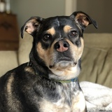 Entry image for River