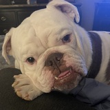 Entry image for Pablo