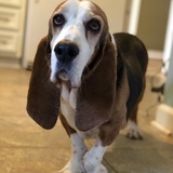 Entry image for Charles