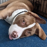 Entry image for Cassie