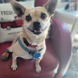 Entry image for Elsa